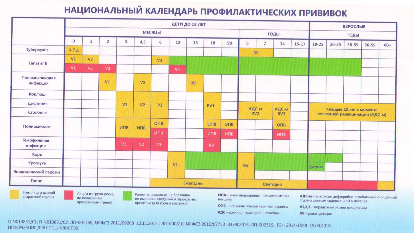 Национальный календарь прививок рф. Прививочный календарь для детей 2021. Национальный календарь прививок 2021 для детей Россия. Национальный календарь прививок для детей в России 2022 года таблица. Национальный график прививок для детей в России 2021.