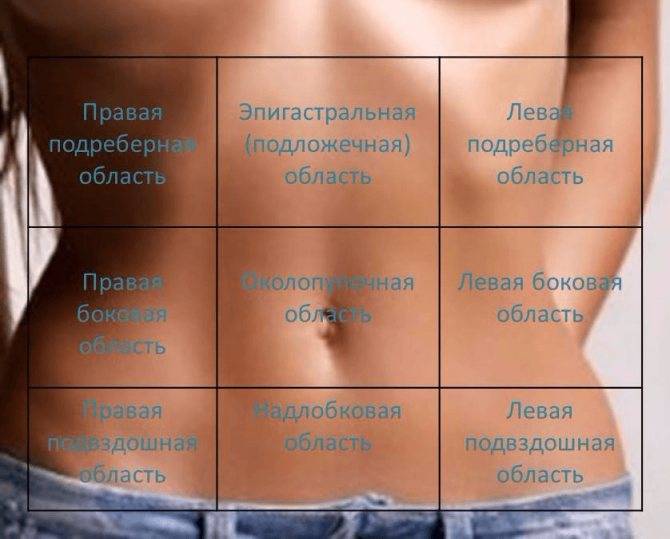 Где находятся яичники и возможные патологии расположения | kazandoctor.ru