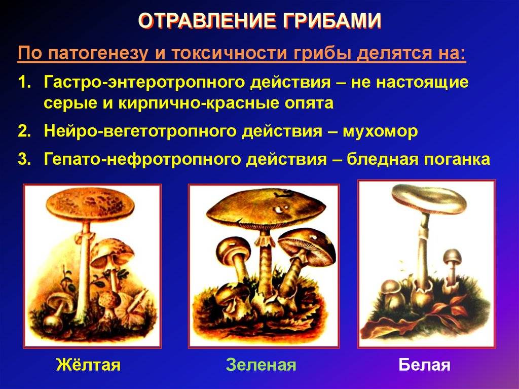 Отравление грибами картинки