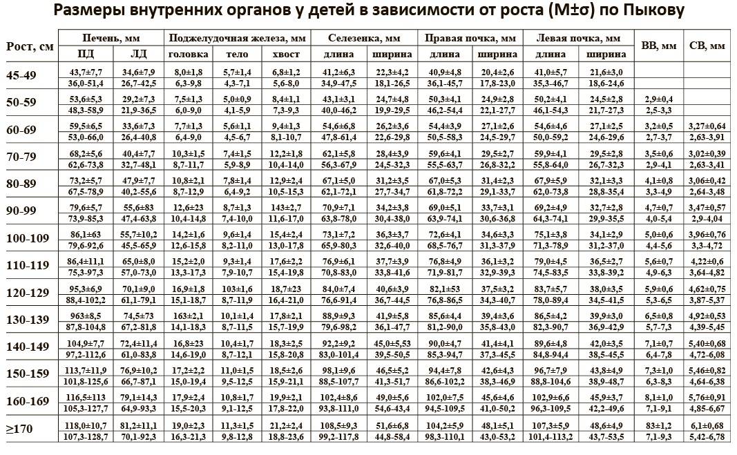 Размер печени у взрослого человека норма: найдено 88 картинок