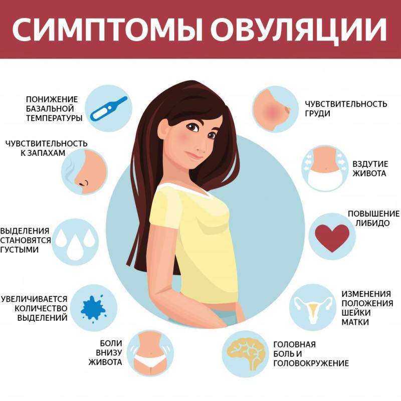 Обильное слюноотделение причины у женщин ночью | tsitologiya.su