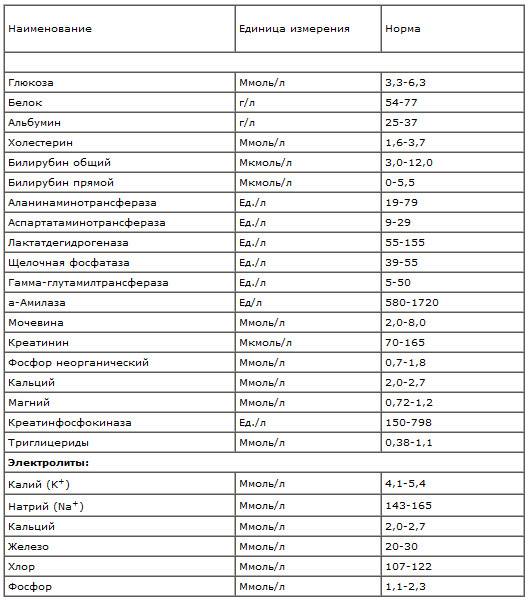 wbc в общем анализе крови: расшифровка, норма у женщин по возрасту (таблица)