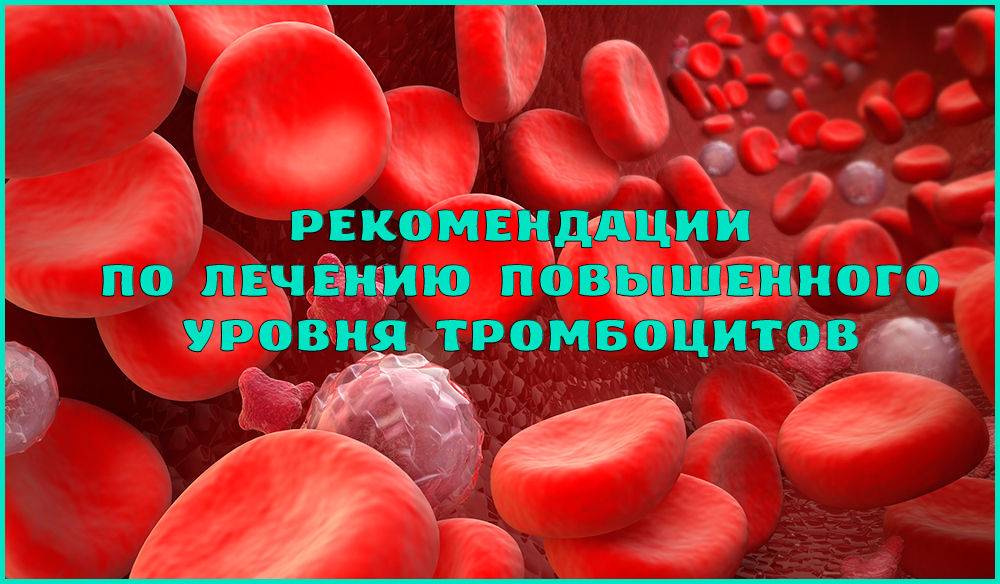 Способы повышения уровня тромбоцитов в крови